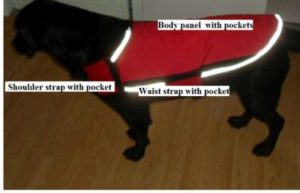 Multi-Functional Dog Vest