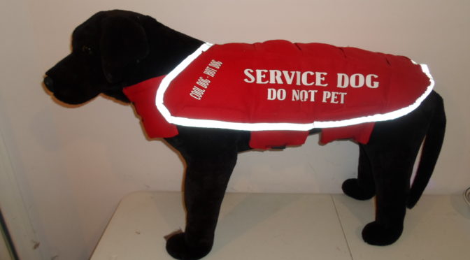 Service Dog Do Not Pet
