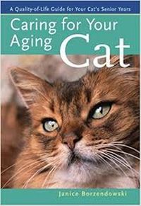 Senior Cats and Their Aging Process