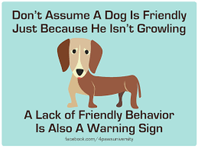 Common Dog Behavior Problems