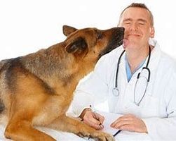 Good Veterinarians Who Really Care