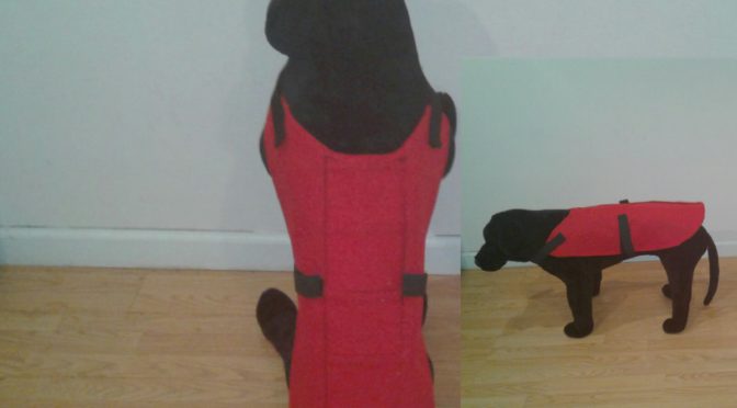 Weighted Dog Backpacks